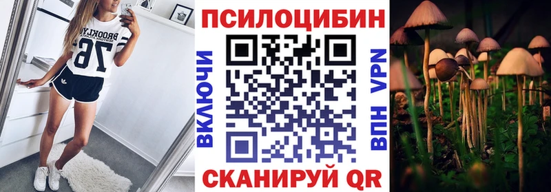 наркошоп  Борзя  Псилоцибиновые грибы ЛСД 