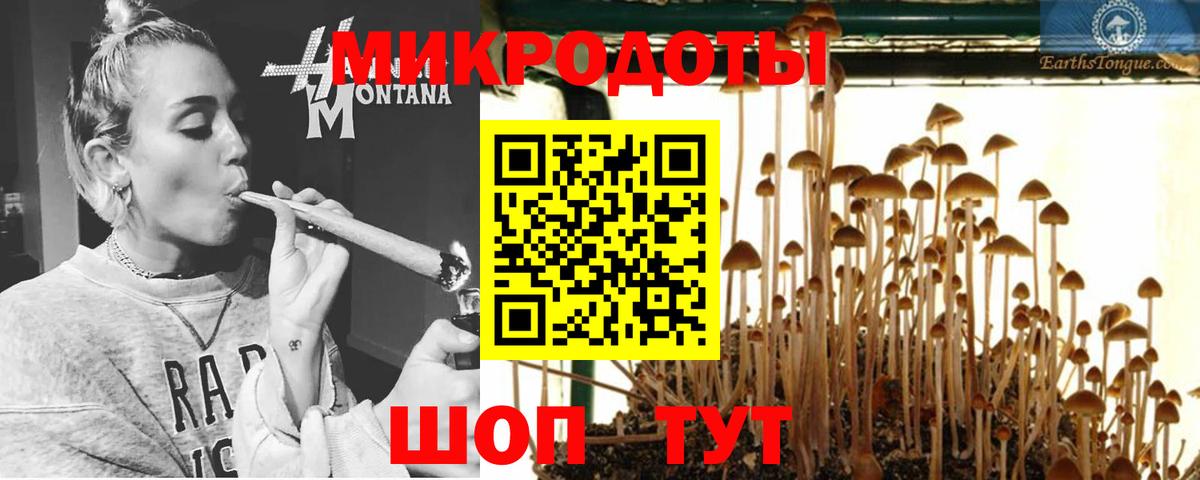 Галлюциногенные грибы Magic Shrooms  Вход с VPN  Борзя 