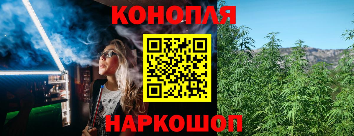 Конопля сатива Борзя